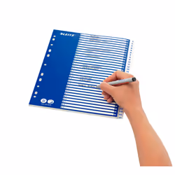 Leitz 12526001 intercalaire de classement