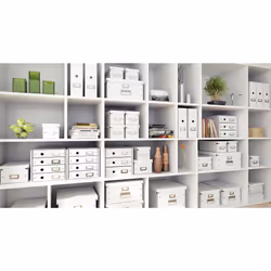 Leitz Boîte de rangement Click & Store