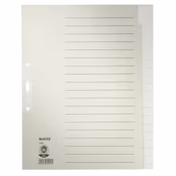 Leitz 12200085, Onglet avec index vierge, Papier, Gris, 100 g/m², 240 mm, 300 mm
