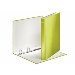 Leitz 42420064 classeur à anneaux A4 Vert
