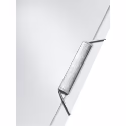 Leitz 39560004 boîte à archive 250 feuilles Blanc Polypropylène (PP)