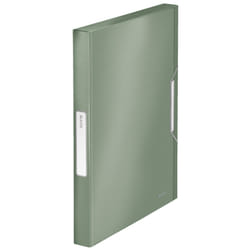 Leitz 39560053 boîte à archive 250 feuilles Vert Polypropylène (PP)