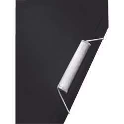 Leitz 39560094 boîte à archive 250 feuilles Noir Polypropylène (PP)