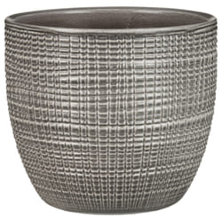 Scheurich Corteza Intérieure Kit de plantation en pot Autonome Vitrocéramique Gris