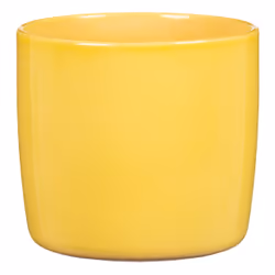 Scheurich Solido 900, Kit de plantation en pot, Autonome, Vitrocéramique, Jaune, Rond, Intérieure