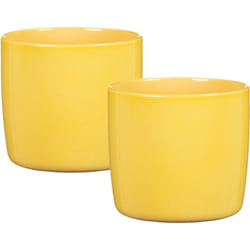 Solido, set de 2 pots à fleurs en céramique, coloris: Solare, diamètre 15 cm, hauteur 13,7 cm, 1,9 l vol. - Scheurich