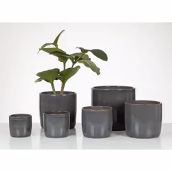 Scheurich 68195 pot à fleurs Intérieure Kit de plantation en pot Autonome Vitrocéramique Gris