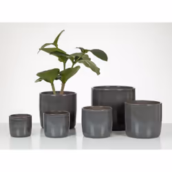 Scheurich 68196 pot à fleurs Intérieure Kit de plantation en pot Autonome Vitrocéramique Gris