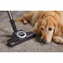Miele Blizzard CX1 C&D Flex 2 L Aspirateur réservoir cylindrique Sec 890 W Sac à poussière - Vue supplémentaire 6