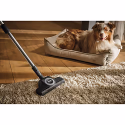 Miele C-PCS Ensemble de produits de soins pour animaux