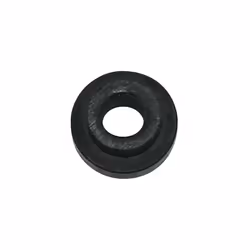 Lot de 10 joints pompe à pied SKS Avacs