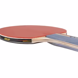 Raquette de tennis de table Joola Team School