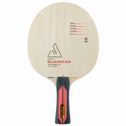 Raquette de tennis de table Joola Tezzo Guardian Fl