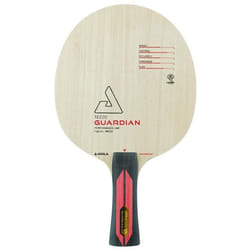 Raquette de tennis de table Joola Tezzo Guardian Fl