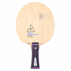 Raquette de tennis de table Joola Vyzaryz trinity ST