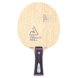 Raquette de tennis de table Joola Vyzaryz trinity ST
