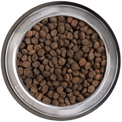 Belcando 556415 Alimentation sèche pour chiens 4 kg Adulte Krill oil, Agneau, Volaille