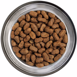 Belcando 557825 Alimentation sèche pour chiens 12,5 kg Adulte Agneau, Riz - Vue supplémentaire 2