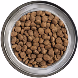 Belcando 558025 Alimentation sèche pour chiens 12,5 kg Canard, Foie