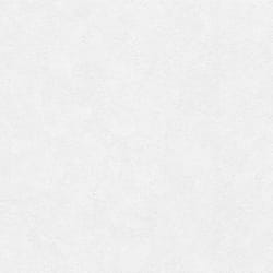 ERISMANN Papier Peint Vinyle Expansé sur Intissé Loft Blanc réf. 6986-01