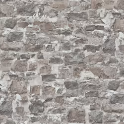 Faites l'expérience du monde de la décoration murale élégante et découvrez des papiers peints intissés et des papiers peints  ...