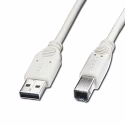 Lindy USB A - USB B, 2 m, USB A, USB B, USB 2.0, Mâle/Mâle, Blanc
