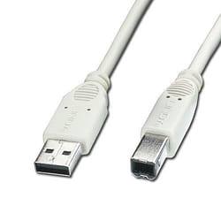 Lindy USB A - USB B câble USB 2 m USB 2.0 Blanc
