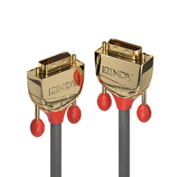 Lindy 36206 câble DVI 10 m DVI-D Or