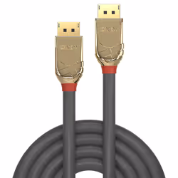 Lindy 36292 câble DisplayPort 2 m Or