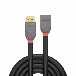 Lindy 36496 câble DisplayPort 1 m Noir