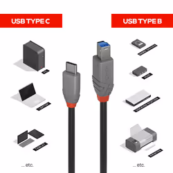 Lindy 36665 câble USB 0,5 m USB 3.2 Gen 1 (3.1 Gen 1) USB C USB B Noir - Vue supplémentaire 4