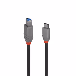 Lindy 36668, 3 m, USB C, USB B, USB 3.2 Gen 1 (3.1 Gen 1), 500 Mbit/s, Noir