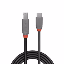 Lindy 36668 câble USB 3 m USB 3.2 Gen 1 (3.1 Gen 1) USB C USB B Noir
