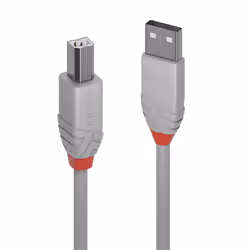 Lindy 36681, 0,5 m, USB A, USB B, USB 2.0, 480 Mbit/s, Gris