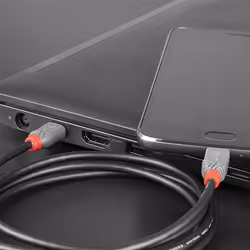 Lindy 36891 câble USB 1 m USB 2.0 USB C Micro-USB B Noir, Gris