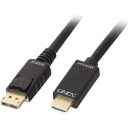 Lindy 36921 câble vidéo et adaptateur 1 m DisplayPort HDMI Type A (Standard) Noir