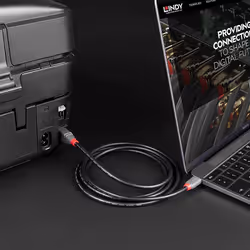 Lindy 36942 câble USB 2 m USB 2.0 USB C USB B Noir - Vue supplémentaire 5
