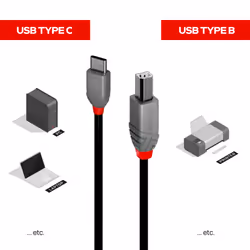 Lindy 36943 câble USB 3 m USB 2.0 USB C USB B Noir