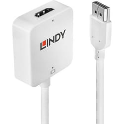 Lindy 38146 câble vidéo et adaptateur HDMI Type A (Standard) DisplayPort Blanc