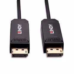 Lindy 38522 câble DisplayPort 10 m Noir