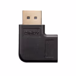Lindy 41333 changeur de genre de câble DisplayPort Noir