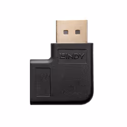Lindy 41334 changeur de genre de câble DisplayPort Noir