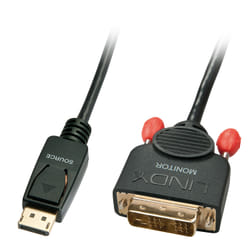 Lindy 41489 câble vidéo et adaptateur 0,5 m DisplayPort DVI-D Noir