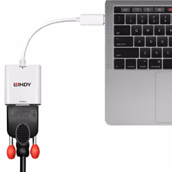 Lindy 43242 câble vidéo et adaptateur 0,17 m VGA (D-Sub) USB Type-C Blanc