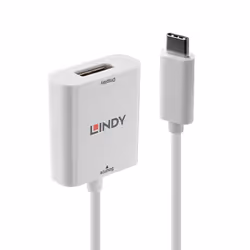 Lindy 43245