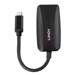 Lindy 43337 câble vidéo et adaptateur 0,13 m USB Type-C DisplayPort Noir