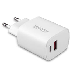 DeLOCK 66436 câble vidéo et adaptateur 0,2 m DisplayPort HDMI Type A (Standard) Noir, Gris