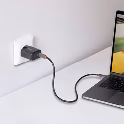 Lindy Chargeur GaN 65W 2 x USB Type C - Vue supplémentaire 4