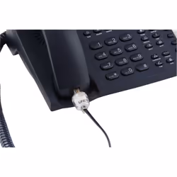 Lindy 75004 connecteur de fils RJ-10 4P4C Transparent