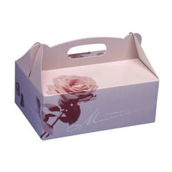 Papstar 18851 boite de stockage de nourriture jetable Carton Multicolore
